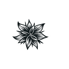 Obraz premium coffee beans and sack hand draw