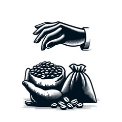 coffee beans and sack hand draw