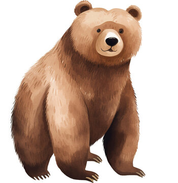 Cartoon brown bear isolated on transparent background