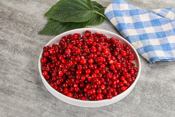 Ripe sweet wild organic cowberry