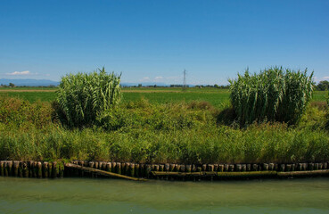 A navigable channel near Aquileia in the Grado section of the Marano and Grado Lagoon in Friuli-Venezia Giulia, north east Italy. August - obrazy, fototapety, plakaty