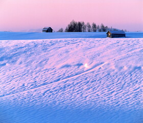 日の出の丘（美瑛町）