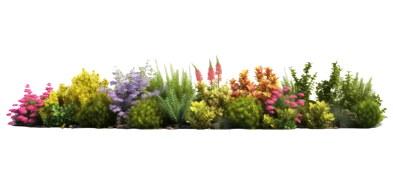 Keuken spatwand met foto beautiful greenery and shrubbery, with small colorful flowers isolated on transparent background © kharom
