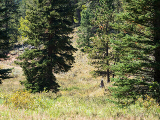 Hiker in the Colorado foothills