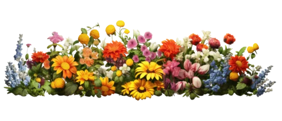 Fotobehang colorful flower garden in full bloom isolated on transparent background © kharom