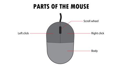 Parts of the mouse, pointing device