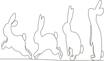 continuous line simple rabbit animal illustrations many more