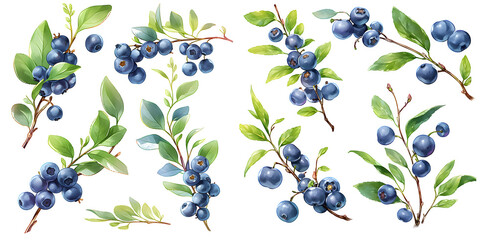 blueberry branch in watercolor illustration clipart. Generative AI - obrazy, fototapety, plakaty