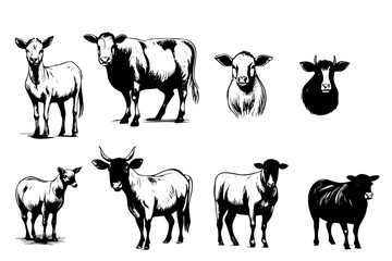 Sketch set of farm animals, vector for your design