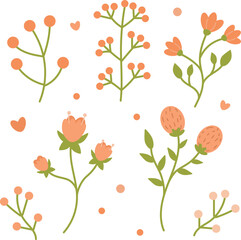floral vector set with leaves and flowers