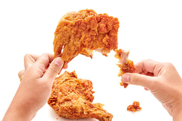 Hand holding and tearing apart fried chicken thigh (chicken coated with seasoned flour or batter and deep fried) and there was another piece of chicken isolated on a white background. eating chicken. - obrazy, fototapety, plakaty