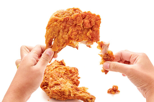 Hand holding and tearing apart fried chicken thigh (chicken coated with seasoned flour or batter and deep fried) and there was another piece of chicken isolated on a white background. eating chicken.
