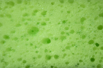 Sponge for washing dishes. Green porous foam close-up.