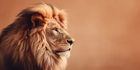 Fototapeten portrait of a lion © xartproduction