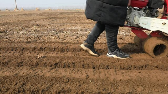 farmers operate ditching machines to dig ditches to plant ginger on a farm in North China