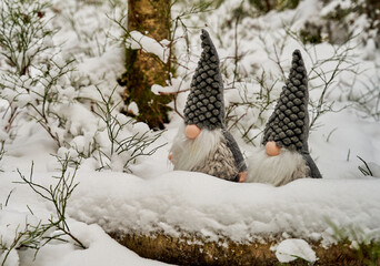 Elves in forest in winter