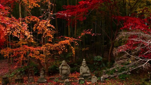 秋の延寿禅寺 （滋賀県彦根市, 2023年12月）
