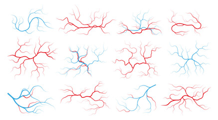 Veins and arteries. Human vascular system and blood vessels, red capillary vessels with stream of blood, healthy cardiovascular system. Vector set of anatomy artery vascular illustration - obrazy, fototapety, plakaty