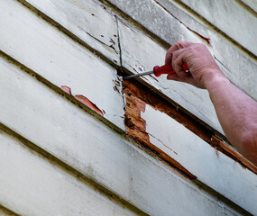 Preparation work before painting, this weatherboard will have to be replaced.