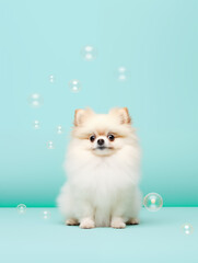 Obraz premium Cute animal portrait,created with Generative AI tecnology.