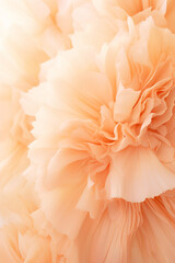 close up macro shot of carnation flower in peach fuzz color of the year 2024 color