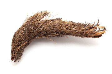 Close-up of Dry Jatamansi (Nardostachys jatamansi) roots, isolated on a white background.