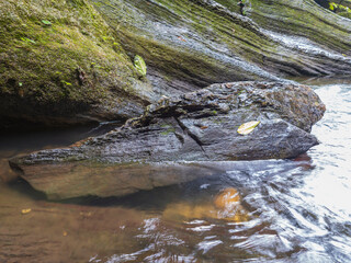 Waterfall in the big forest
