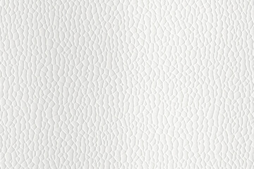 White Background White background Wallpaper White background Photo White Background Image White Background Illustration
