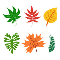 Colorful Autumn leaves. Vector illustration.