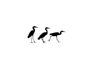 black crowned crane. heron silhouettes. heron and pelican flying and staying silhouette collection. set of sandhill crane silhouette isolated white background.