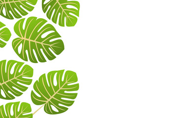 Monstera leaf background with copy space