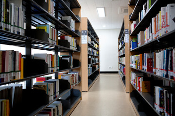 shelves in the library