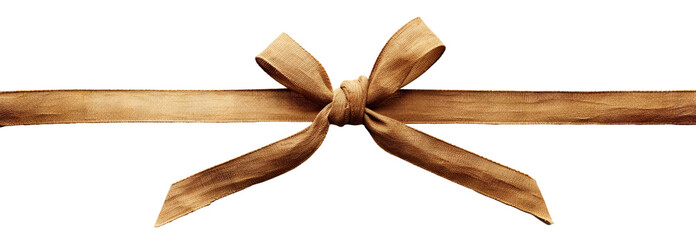 Fototapeta premium Stylish brown fabric bow, cut out