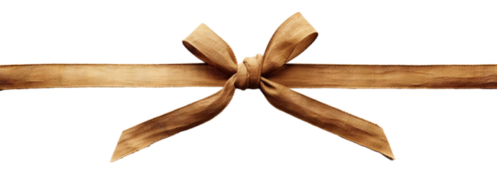 Stylish brown fabric bow, cut out