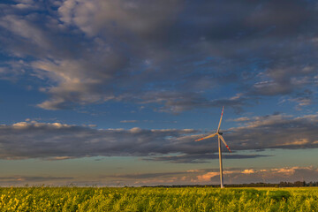 landscape with wind farm, winter time Poland Europe, sundown amazing sky and rape fields