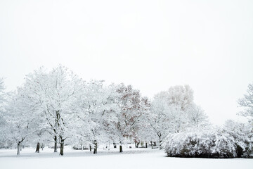 Landscape winter attack in city park, fresh snow on the trees with colourful leafs, Beautiful winter scenery	