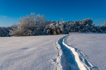 Obraz premium Snowy and beautiful winter landscape in Waldburg in Upper Swabia