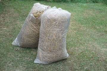 Two bags of rice straw hay, prepared for making compost in garden. Concept, using agricultural waste materials that can decompose to make compost or cover soil ground.     