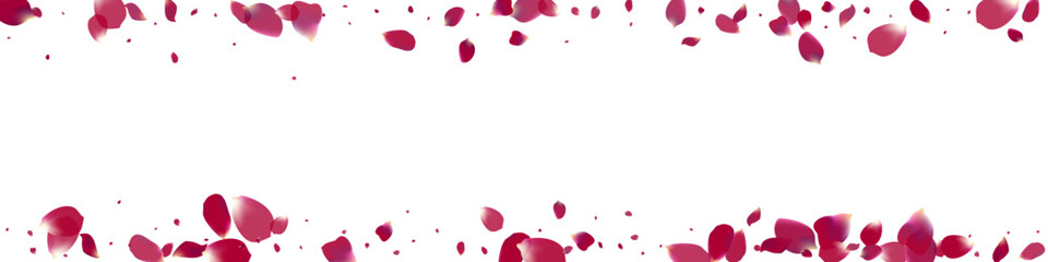 Beautiful Blossom Falling Vector White Panoramic