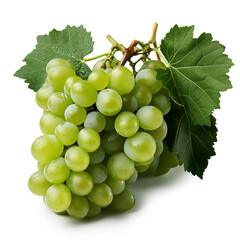 Obraz premium green grapes isolated on the white background