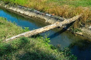 a piece of wood across a small irrigation river that can be used as a bridge in a village
