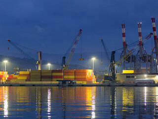 Ships being loaded by gantry cranes at La Spezia