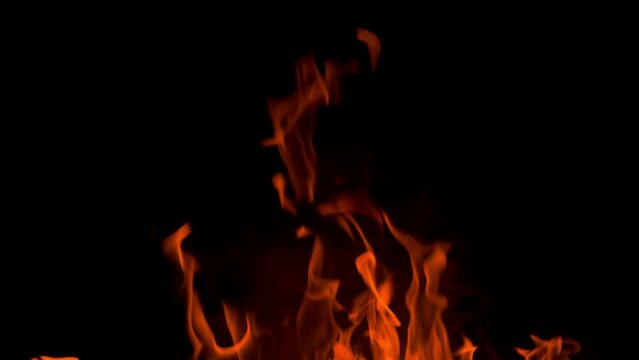 Orange flames rise and curl against a deep black background, creating a dramatic abstract fire scene with glowing heat, motion, and contrast.