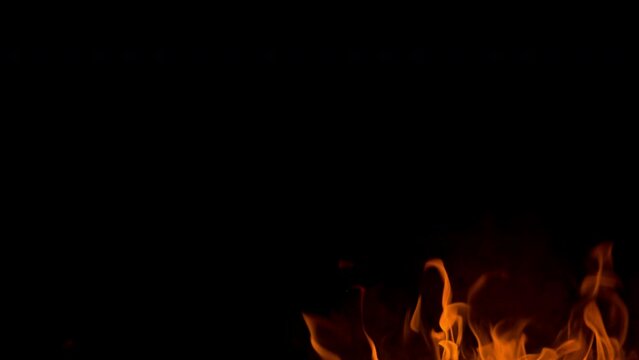 Orange flames rise and curl against a deep black background, creating a dramatic abstract fire scene with glowing heat, motion, and contrast.