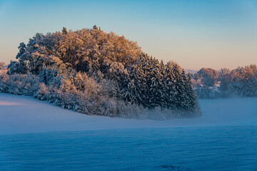 Snowy and beautiful winter landscape in Wolfegg in Upper Swabia