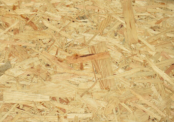 OSB board close-up. OSB texture.