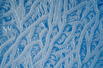 Eiskristall Stilleben