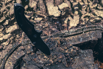 Tactical knife stuck in a tree stump in a forest