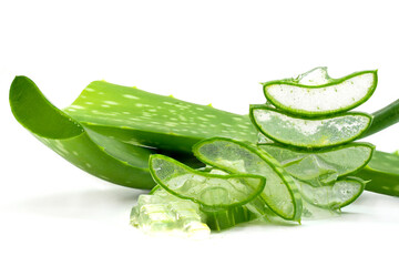 Aloe vera or Star cactus (Aloe vera (L.) Burm.f.) on a white background. Herbs that are commonly...