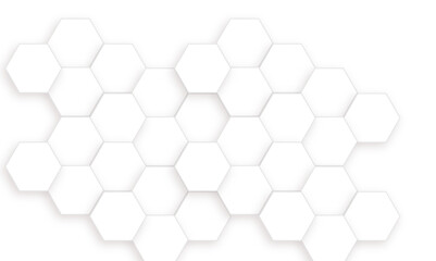 Abstract white and gray hexagon technology lines background. Abstract white and grey color hexagonal geometric background with copy space. Abstract white lines background.